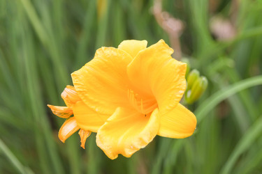 Similar image 21848021