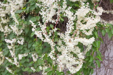 Similar image 21848022