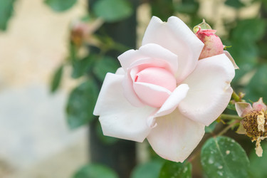 Similar image 21848025