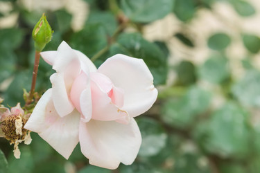 Similar image 21848026