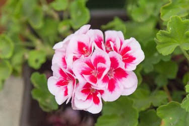 Similar image 21848027