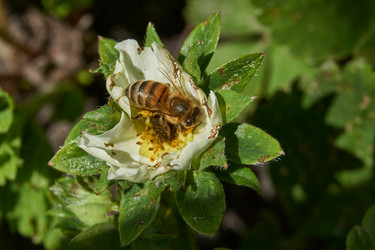 Similar image 21832184