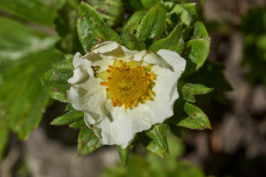 Similar image 21836715