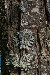 Similar image 21828520