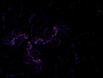 Similar image 21840216