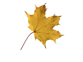 Similar image 21844639