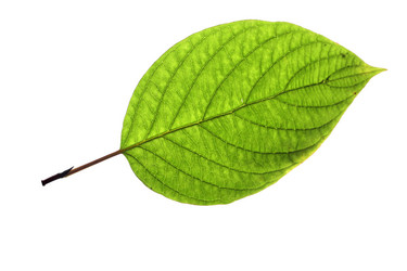 Similar image 21844220