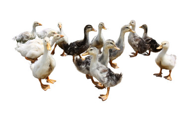 Similar image 21844224