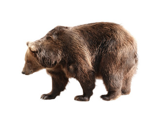 Similar image 21844230