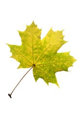 Similar image 21844231