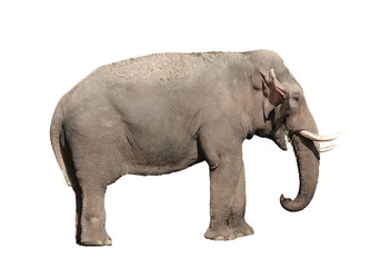 Similar image 21844239