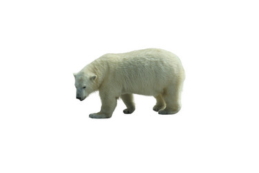 Similar image 21844240