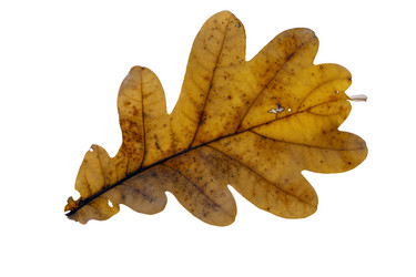 Similar image 21844241