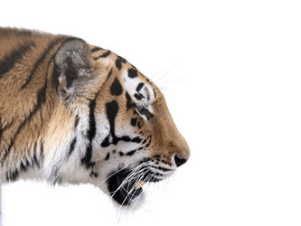 Similar image 21844248