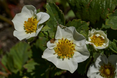 Similar image 21836716