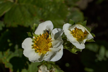 Similar image 21828521