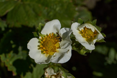 Similar image 21835222