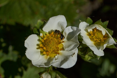 Similar image 21833008