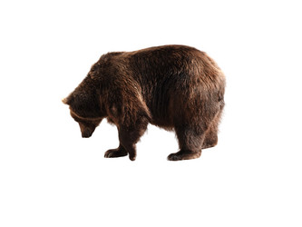 Similar image 21844450