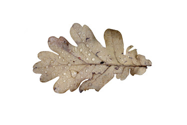 Similar image 21844455