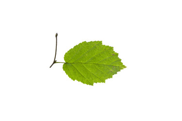 Similar image 21844457