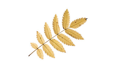 Similar image 21844462