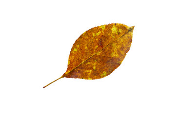 Similar image 21844464