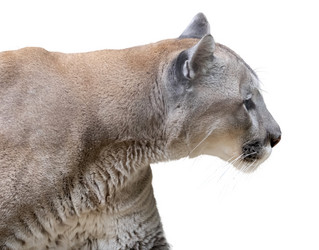 Similar image 21844465