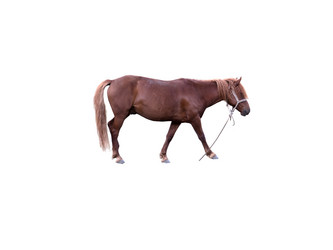 Similar image 21844467