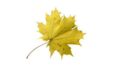 Similar image 21844470