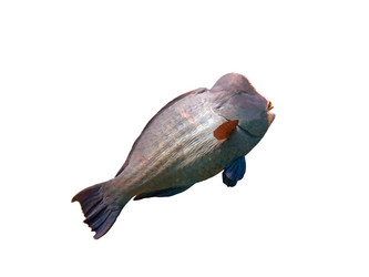 Similar image 21844472