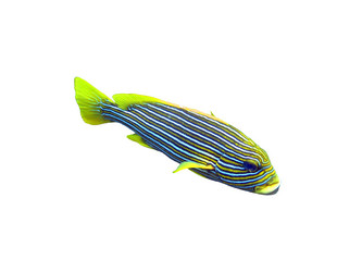 Similar image 21844473