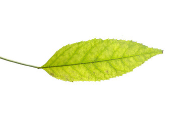 Similar image 21844476