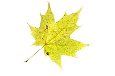 Similar image 21844480