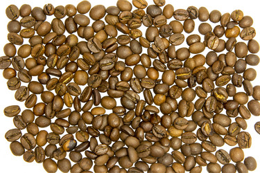 Similar image 21844481