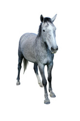 Similar image 21844487