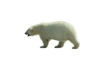 Similar image 21844492