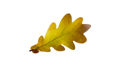 Similar image 21844493