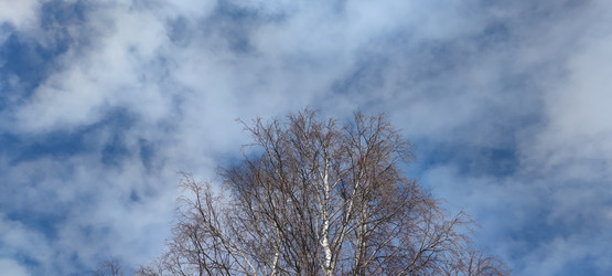 Similar image 21833936