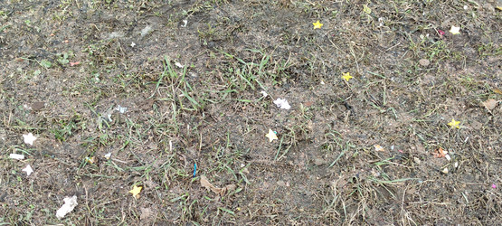 Similar image 21832033