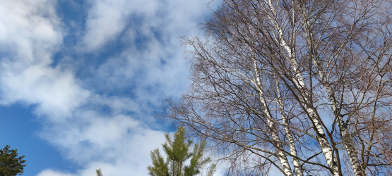 Similar image 21833937