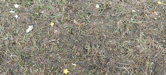 Similar image 21833938