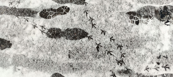 Similar image 21832034