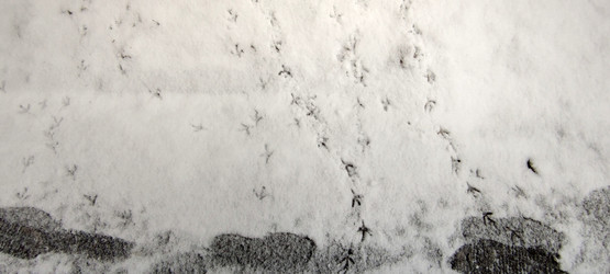 Similar image 21833947