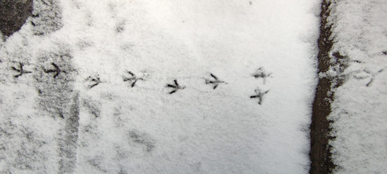 Similar image 21833948