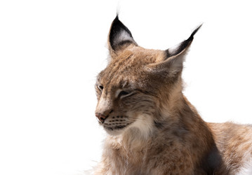 Similar image 21844651