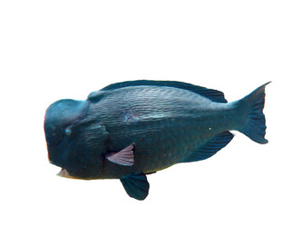 Similar image 21844655