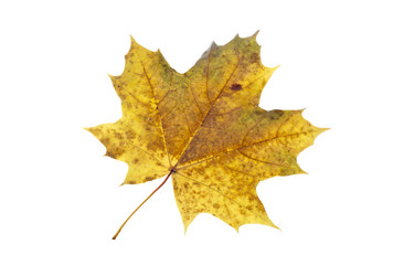 Similar image 21844667