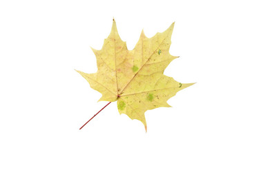 Similar image 21844682