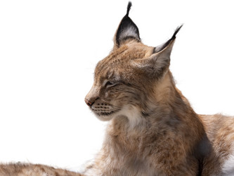 Similar image 21844257